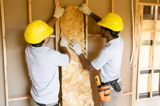 Professional Insulation Contractor in Fairway, KS